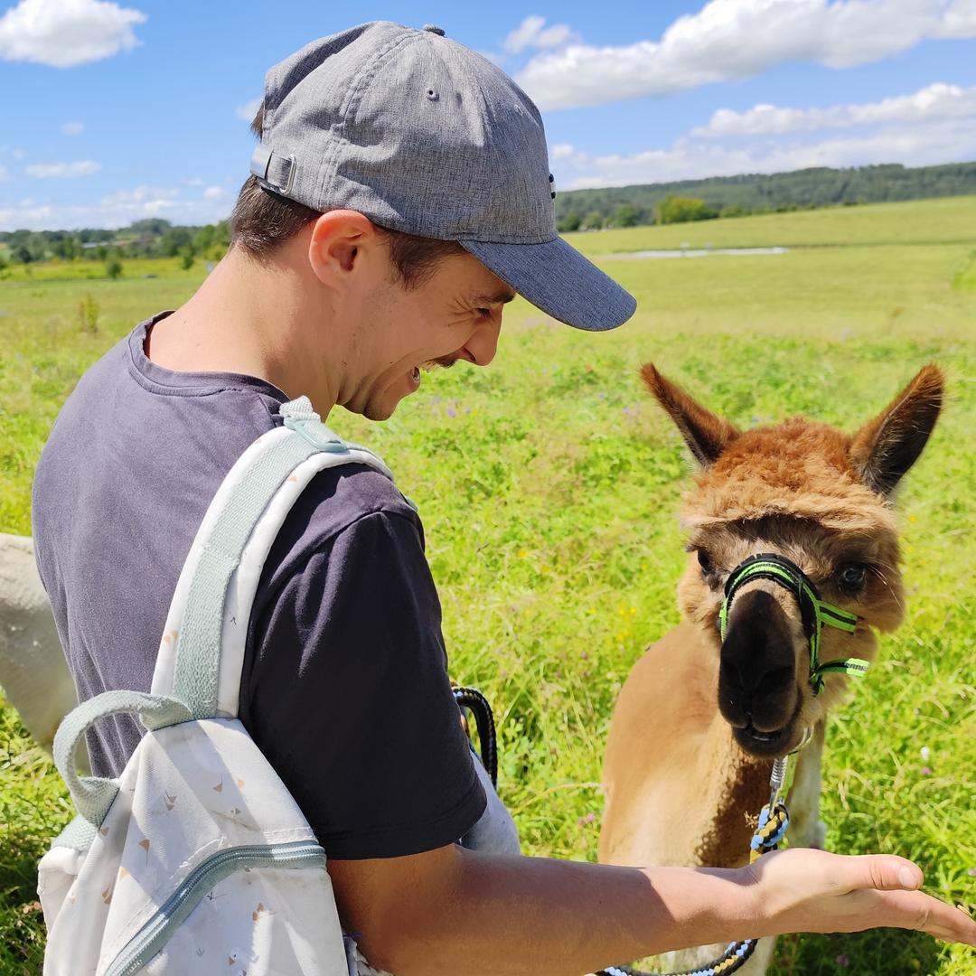 tiergestützte therapie